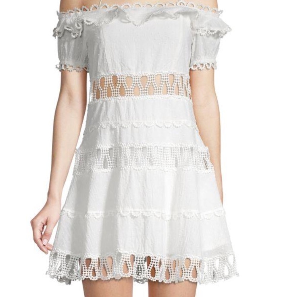 Haute rog dress one time used